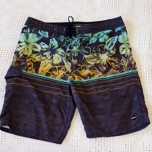 O'Neill surf/board/swim shorts size 33 grey green yellow stripes flower